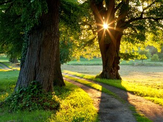 Appartamento Waren (Müritz) Registrazione all'aperto 11