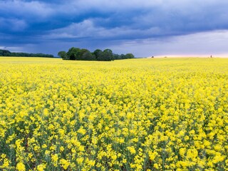 Appartamento Waren (Müritz) Registrazione all'aperto 9
