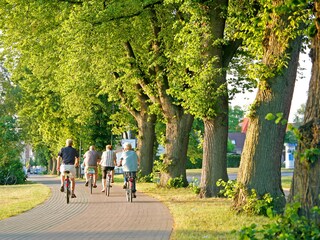 Apartamento Waren (Müritz) Entorno 39