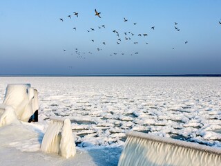 Appartamento Waren (Müritz) Registrazione all'aperto 15