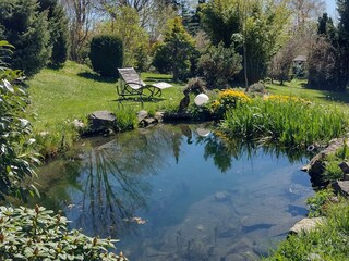 Garten mit Teich und Grillplatz