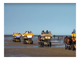 Kutschfahrt durchs Wattenmeer