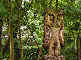 Bungalow Hoge Hexel Outdoor Recording 4