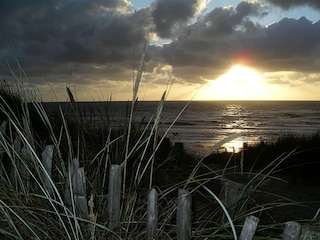 Appartamento Egmond aan Zee  15