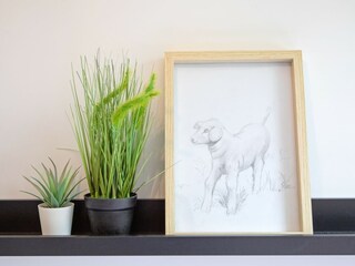 Casa per le vacanze Oosterend Caratteristiche 30