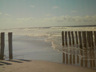 Appartamento per vacanze Domburg Caratteristiche 15