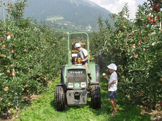 Appartamento per vacanze Kuens Ambiente 20