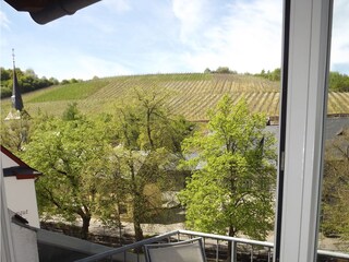 Herrlicher Ausblick auf die Weinberge