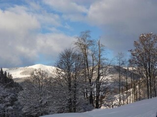 Chalet Saalbach Ambiente 36