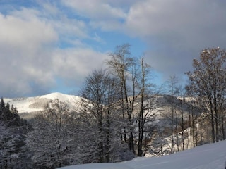 Chalet Saalbach Environment 36
