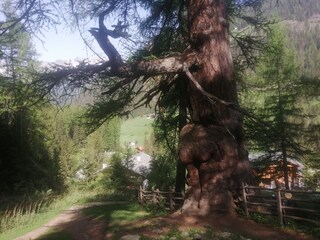 Appartamento per vacanze Ultental Registrazione all'aperto 8