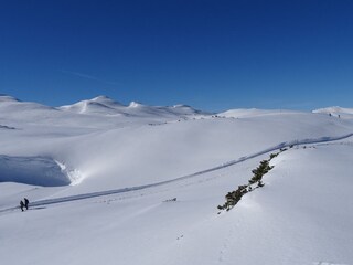 Appartamento per vacanze Riezlern Ambiente 24