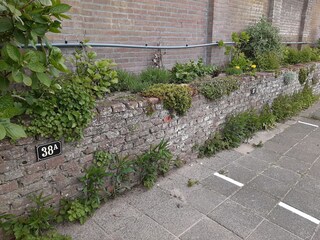 Appartamento per vacanze Egmond aan Zee Registrazione all'aperto 6