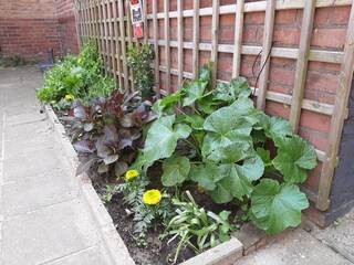 Appartamento per vacanze Egmond aan Zee Registrazione all'aperto 9