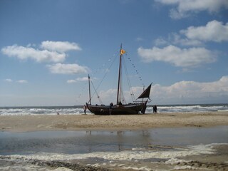 Holiday apartment Egmond aan Zee Environment 24