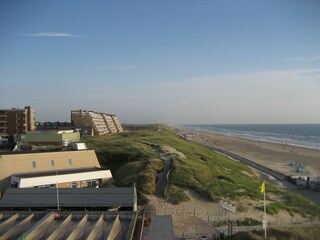Holiday apartment Egmond aan Zee Environment 23