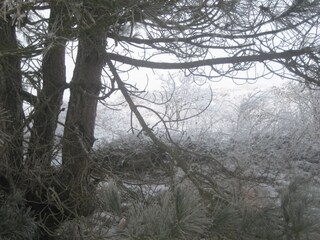 Appartamento per vacanze Egmond aan Zee Ambiente 26