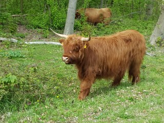 Appartamento per vacanze Egmond aan Zee Ambiente 28