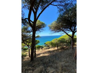 Wanderwege in Pinienwäldern am Meer