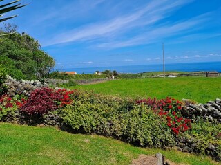 Reihenhaus Ribeira Grande Außenaufnahme 7