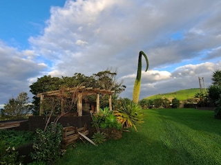 Reihenhaus Ribeira Grande Außenaufnahme 9