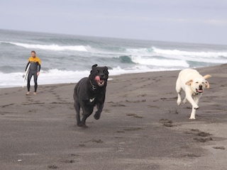 Reihenhaus Ribeira Grande Umgebung 27