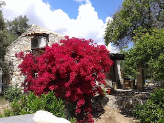 Cottage Keri-Marathias Außenaufnahme 3