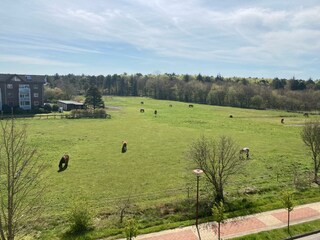 Apartamento de vacaciones Sahlenburg Grabación al aire libre 5