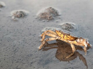 Apartamento de vacaciones Sahlenburg Entorno 19