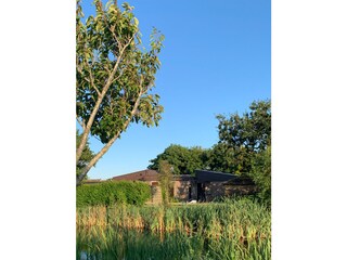 Vakantiehuis Callantsoog Buitenaudio-opname 5