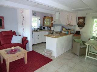 Wohnzimmer mit Küche und Eßplatz