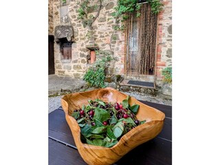 Casa de vacaciones Seggiano Grabación al aire libre 18