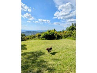 Casa de vacaciones Seggiano Grabación al aire libre 20