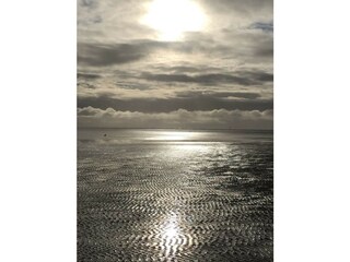 Das Wattenmeer