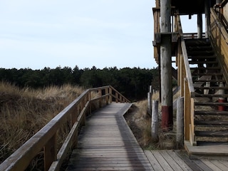 Aussichtsturm Maleens Knoll