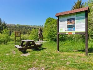 Apartment Gemütliche Ferienwohnung in Rübeland im Oberharz - Rübeland - image1