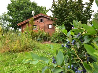 Ferienhaus Kirchheim in Hessen Außenaufnahme 4