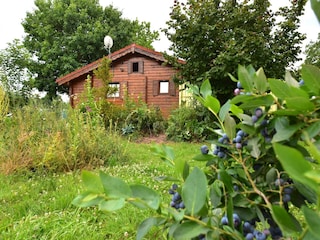 Holiday house Kirchheim in Hessen Outdoor Recording 5