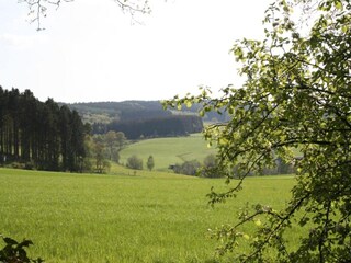 Maison de vacances Kirchhundem Environnement 34