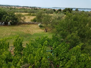 Casa de vacaciones Fažana Grabación al aire libre 14