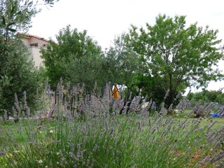 Maison de vacances Fažana Enregistrement extérieur 17