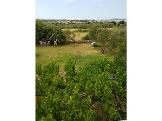 Maison de vacances Fažana Environnement 30