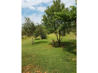 Casa per le vacanze Fažana Ambiente 31