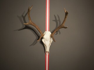 Appartamento per vacanze Hirschegg im Kleinwalsertal Caratteristiche 13