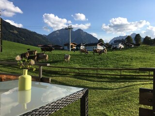 Vakantieappartement Hirschegg im Kleinwalsertal Buitenaudio-opname 5