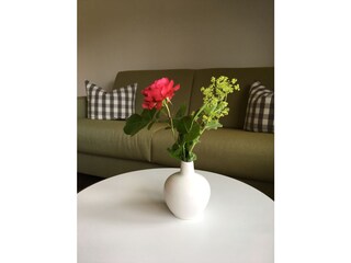 Appartamento per vacanze Hirschegg im Kleinwalsertal Caratteristiche 14