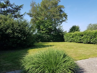Blick in den Garten