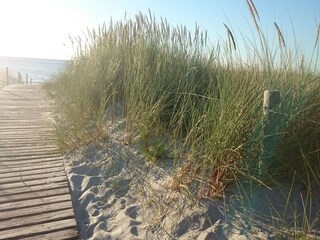 Bungalow Börgerende-Rethwisch Omgeving 34