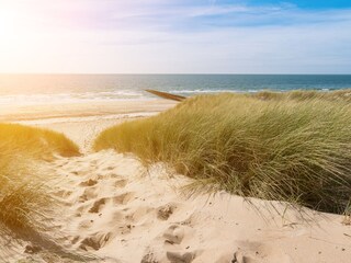 Vakantieappartement Noordwijk Omgeving 26