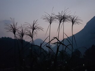 Holiday apartment Schneizlreuth Outdoor Recording 6